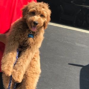 Meet your Posher, Kimberly